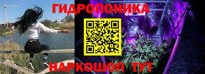 эйфоретик Канаш