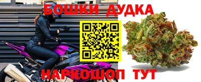 наркотики Камышлов