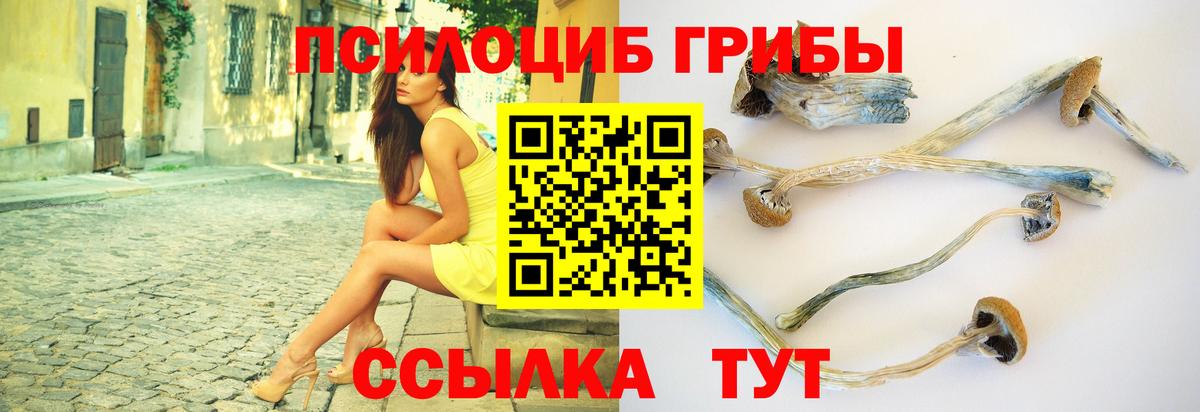 Ликино-Дулёво  Псилоцибиновые грибы прущие грибы  Вход с VPN 